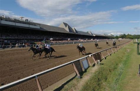Belmont Stakes 2024: Odds and analysis + top win pick .